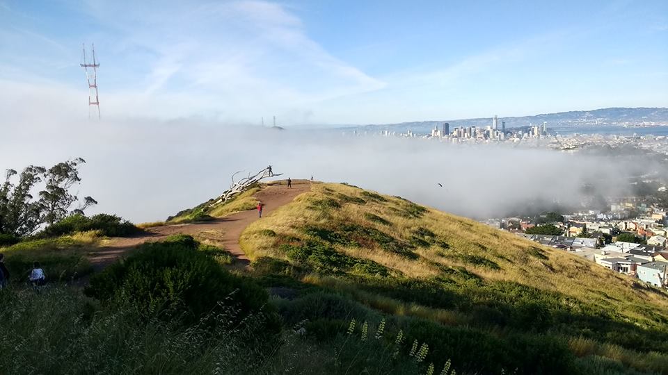 18582396_10212887671092861_2809566824299302014_n