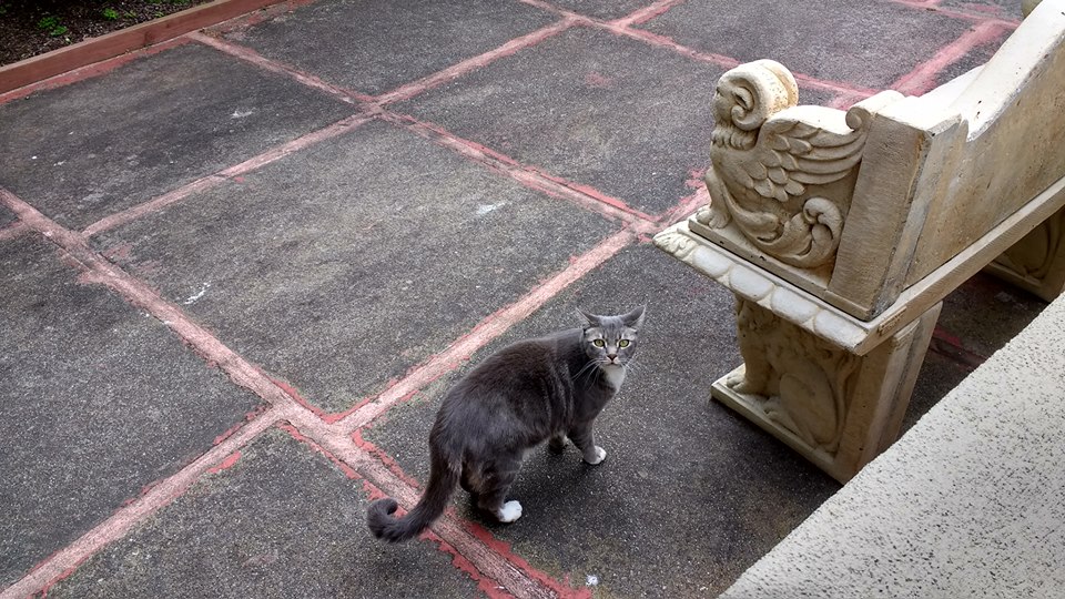 18836083_10212992897083445_3989941858779435484_n