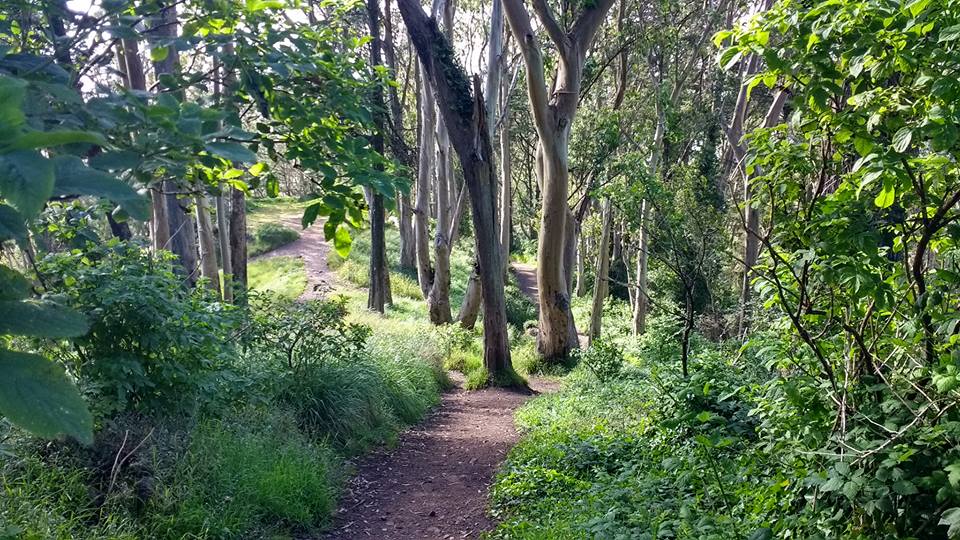 18920525_10212992999286000_8334641161172242849_n