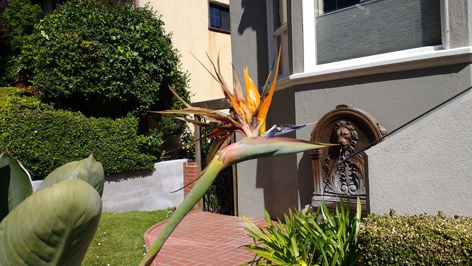 19029198_10213058480722995_7700437159453302608_n