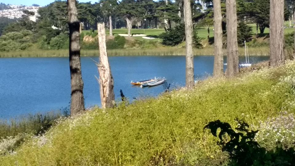 19905303_10213382357739718_2030917966320923423_n