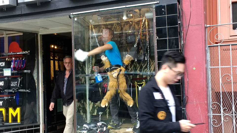 21687673_10214058369799597_1941727687901478703_n