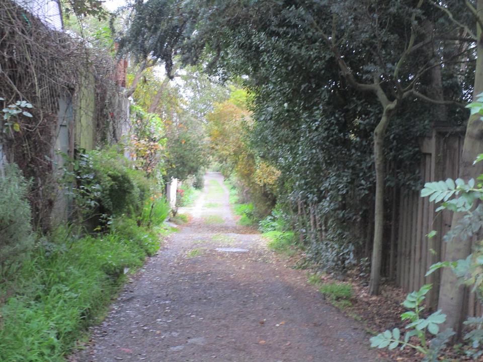 26168485_10214920329508051_2174561549100175147_n