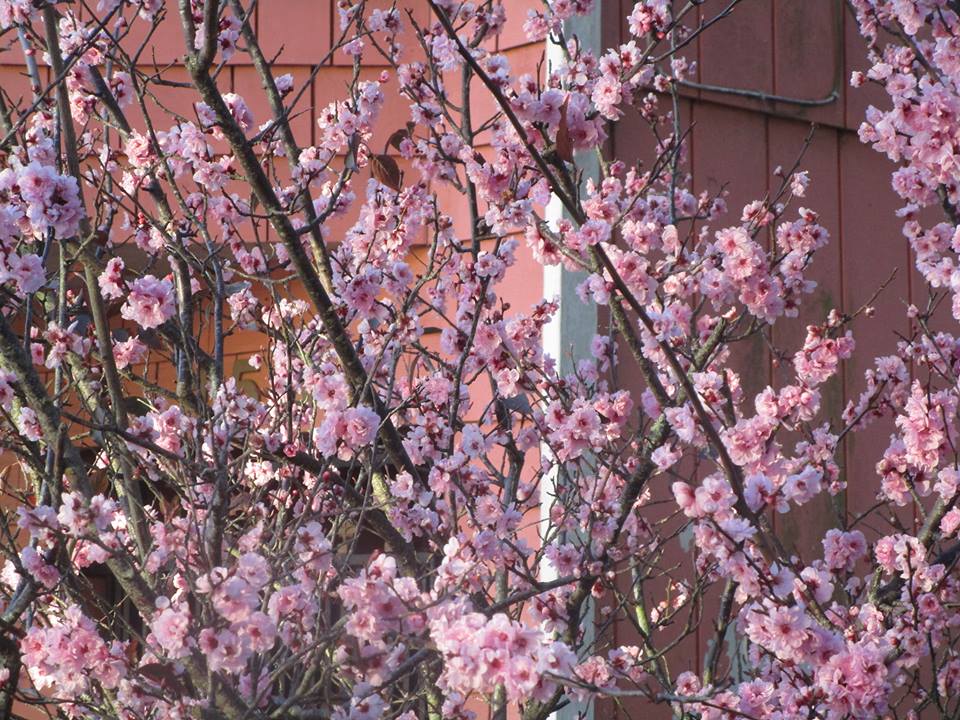 28059519_10215306320357581_565154597567143299_n