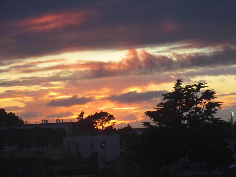 28575691_10215458419919975_2069782067503169536_n