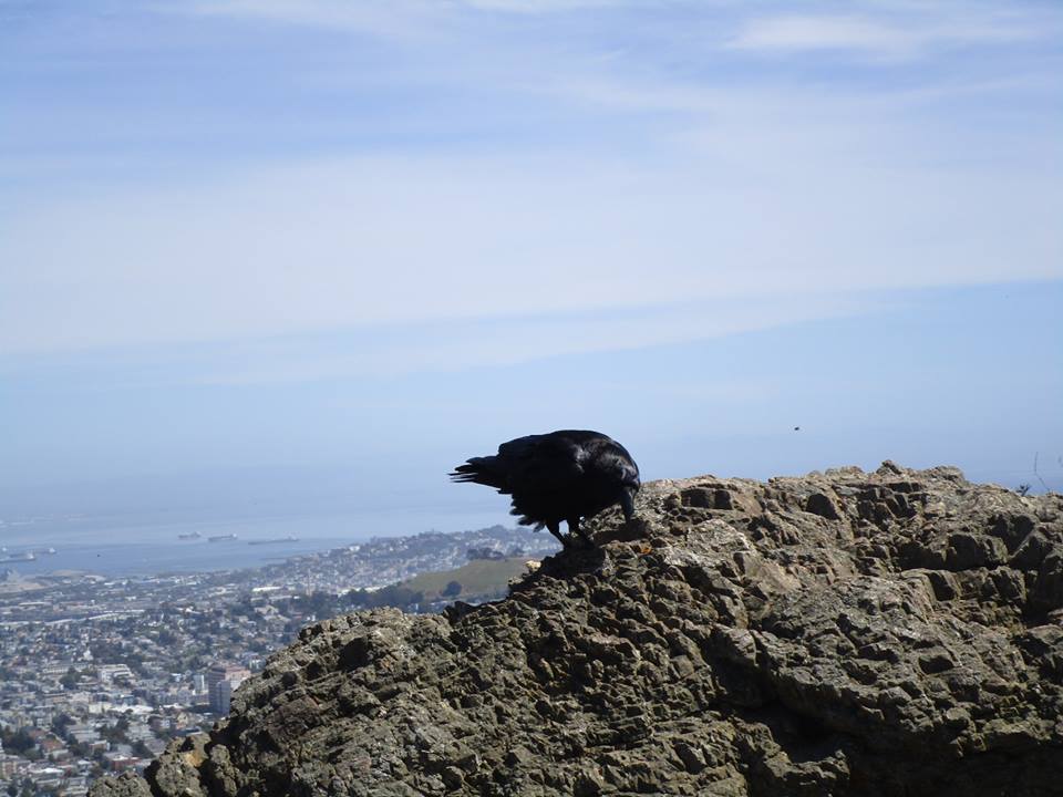 31124715_10215859565308359_5667860026027409408_n1