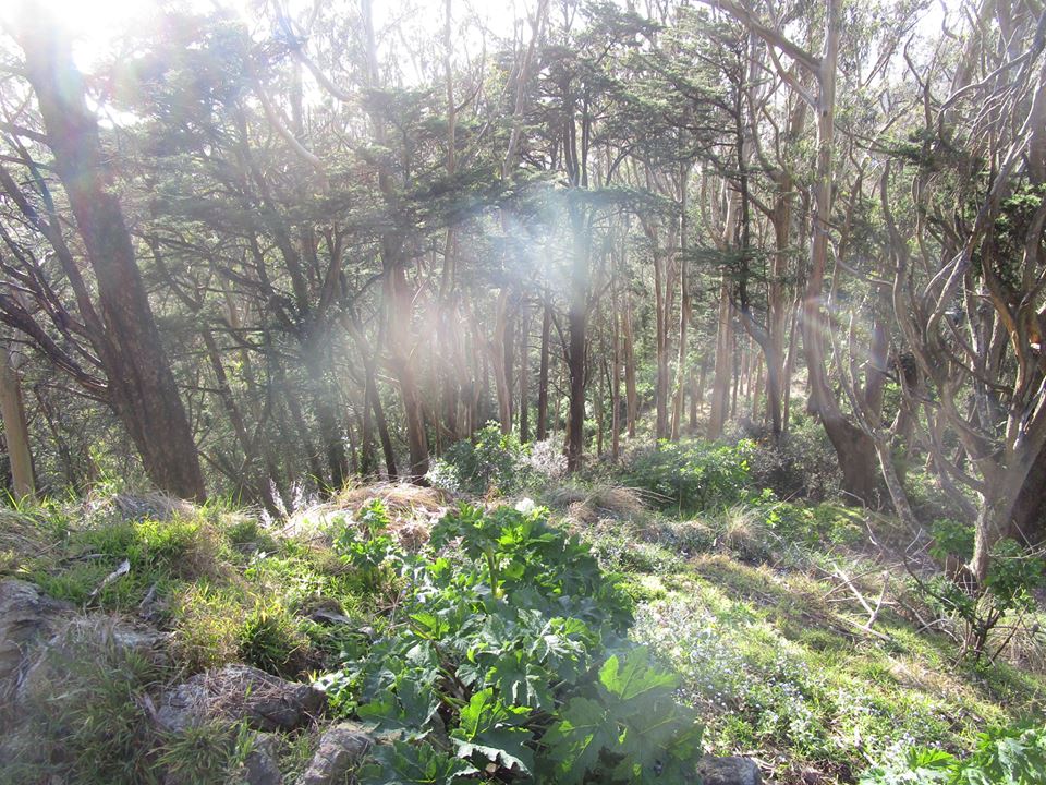 31129391_10215859551748020_6716728925617127424_n