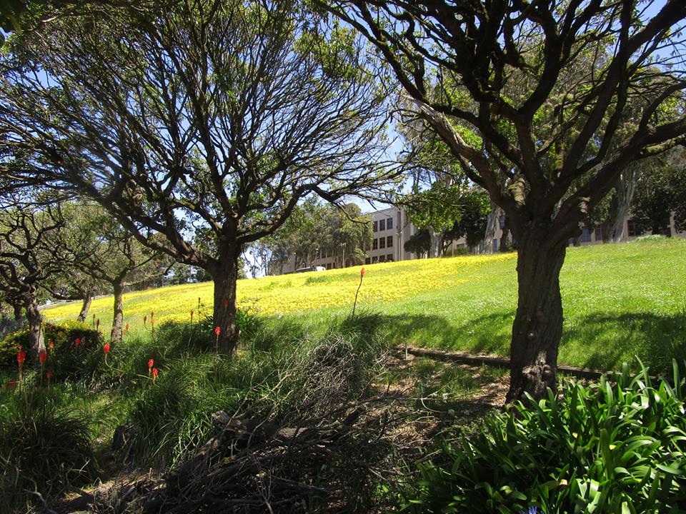 31154155_10215859559428212_2783677529850904576_n