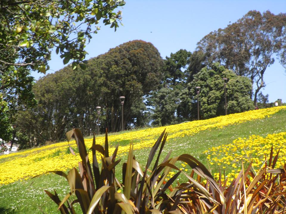 31157672_10215859559468213_5999581339802664960_n