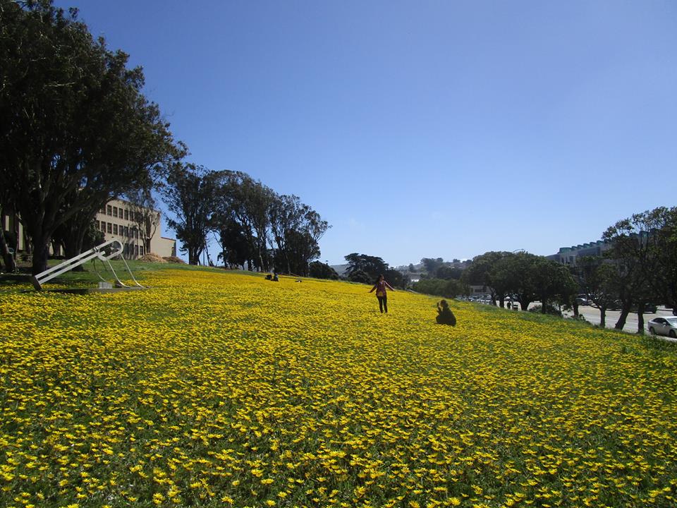 31171332_10215859559588216_1034589563554627584_n