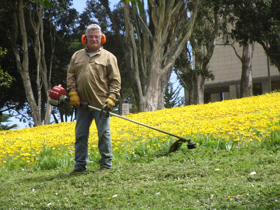 31706407_10215923016734605_8818155500408406016_n