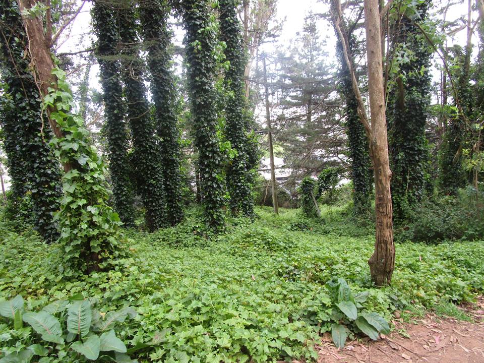 31723297_10215922966853358_4690324722133499904_n