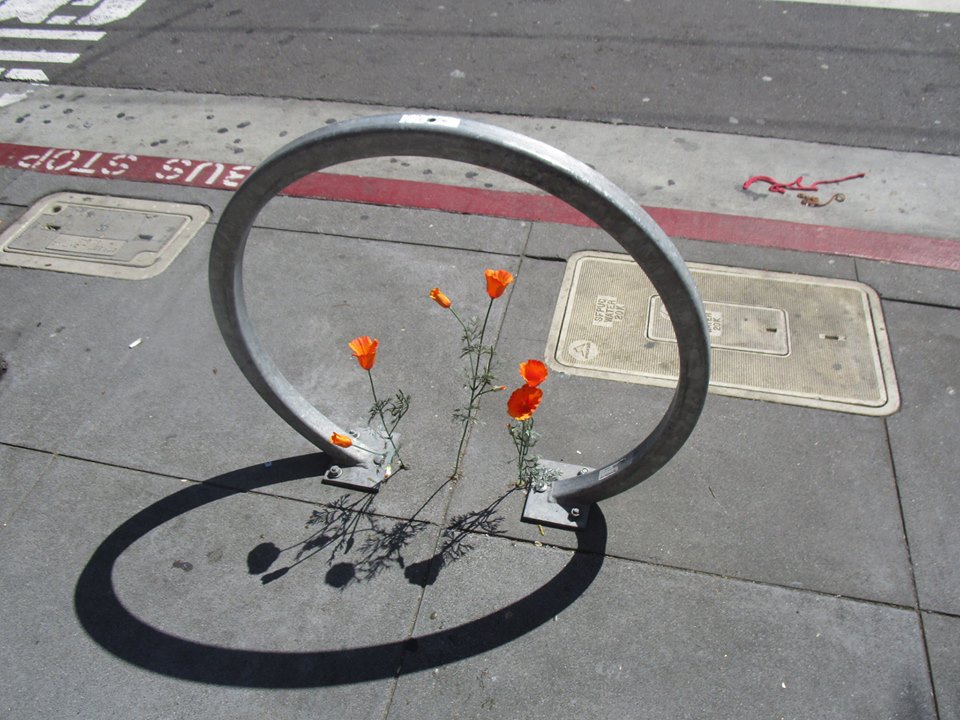 31749560_10215923051535475_3344217761806024704_n