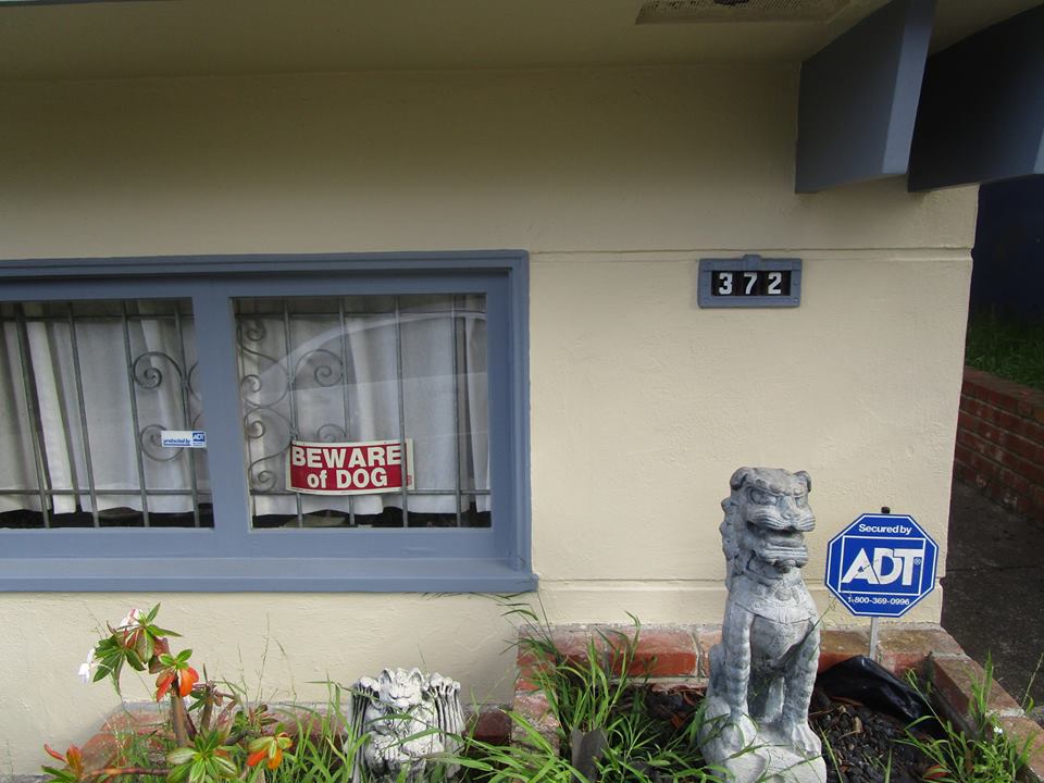 31760125_10215922966773356_6670250314253205504_n