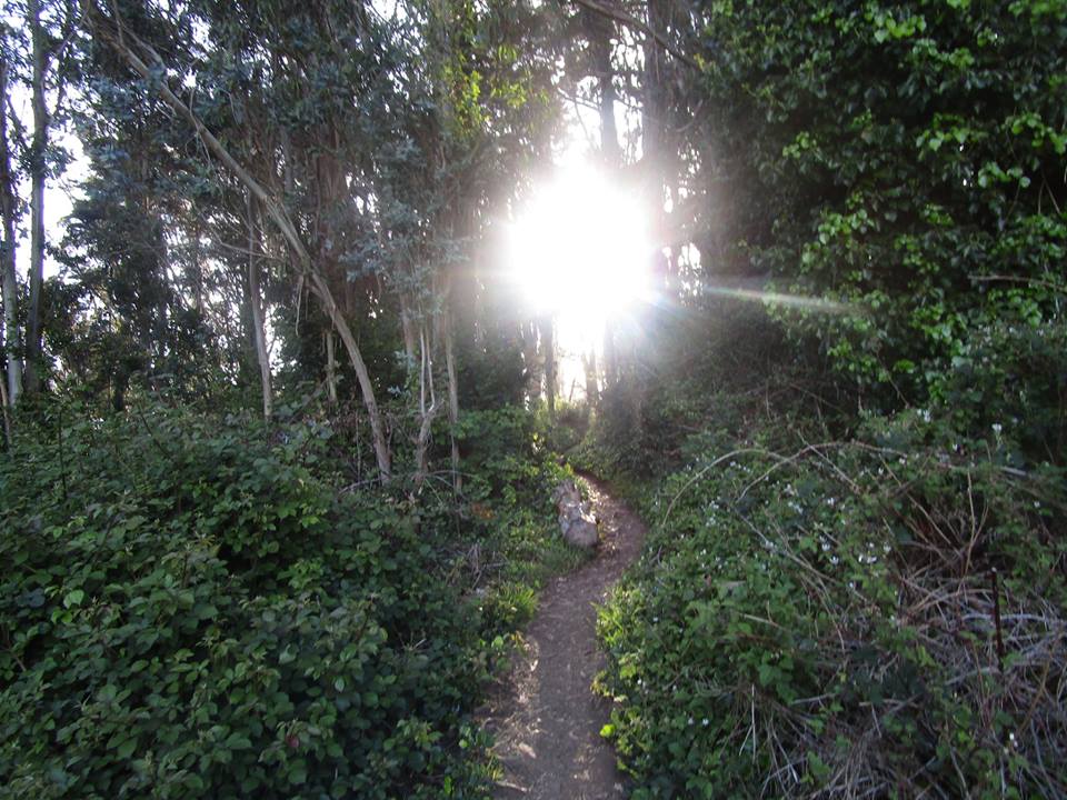 32235361_10215996972623456_2702418981993578496_n