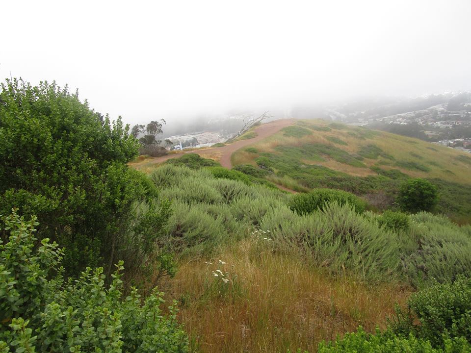 32966855_10216048689156337_2881301513718726656_n