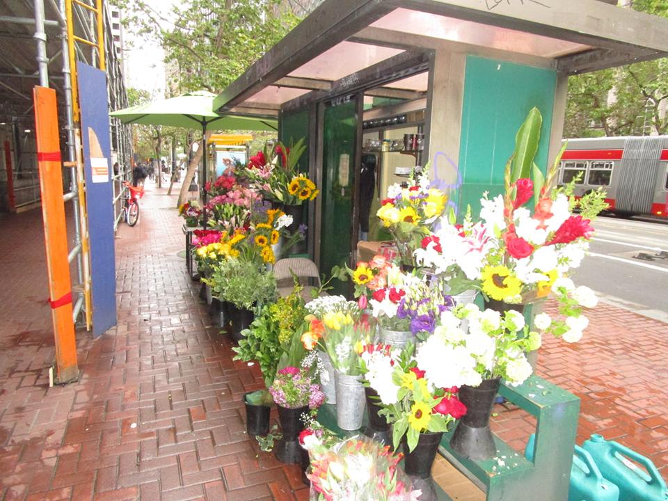 33759688_10216126509581799_4829157465507495936_n