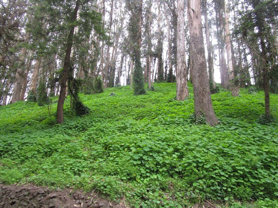 33764387_10216126442860131_6376751426273542144_n