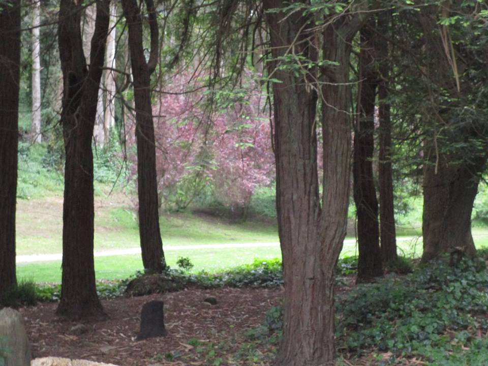 33773343_10216126442780129_72680059353169920_n