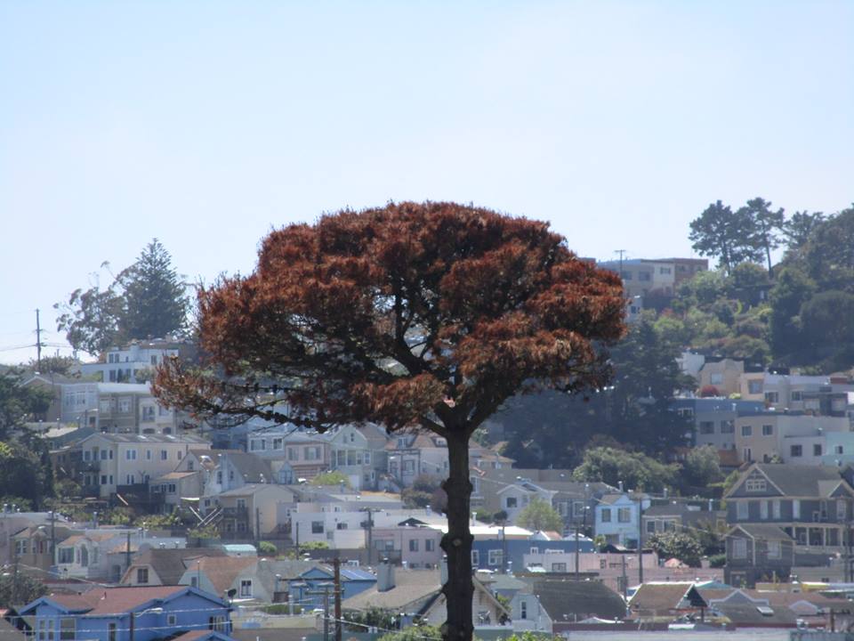 33848326_10216126349497797_1608861171027279872_n