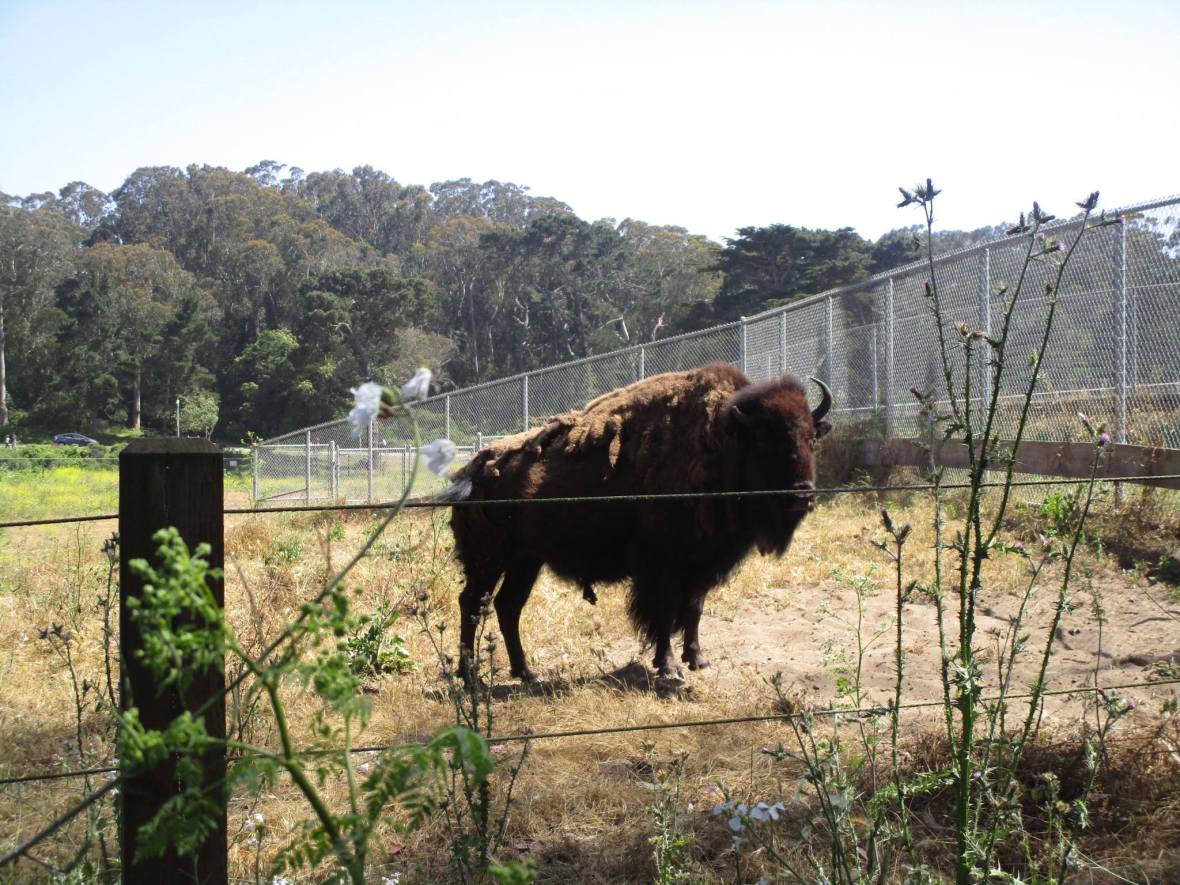 34342566_10216173589478767_1134602923628560384_o