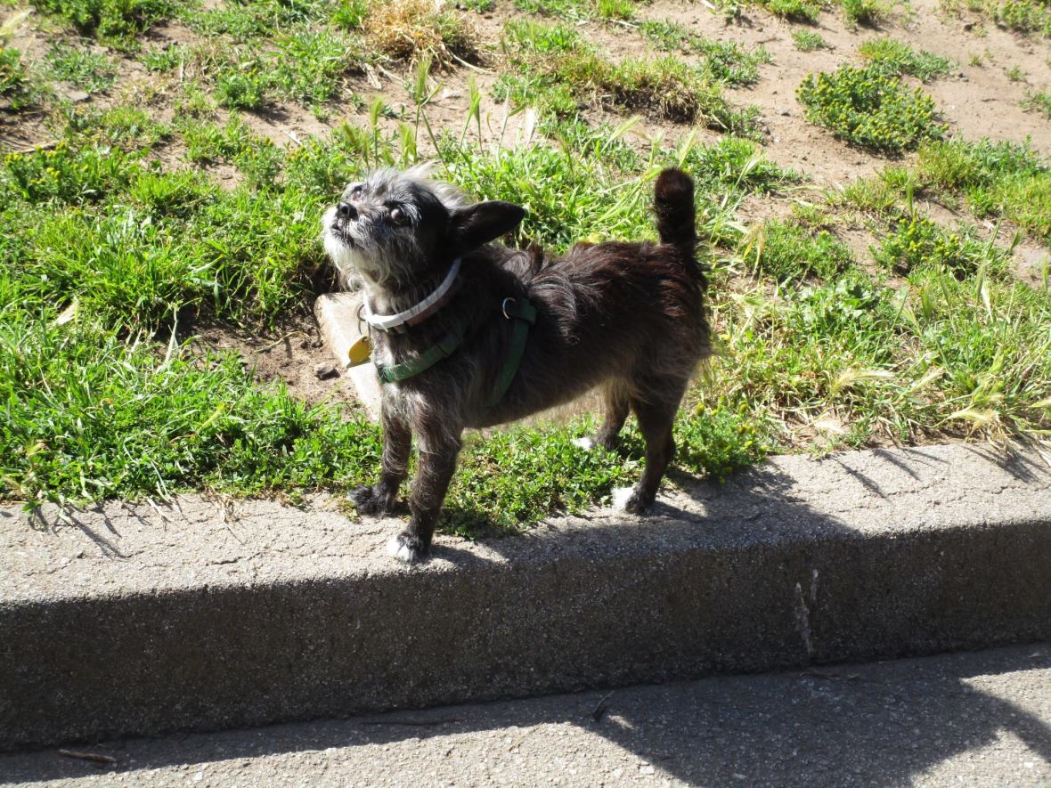 34369151_10216173572038331_5782161909071478784_o