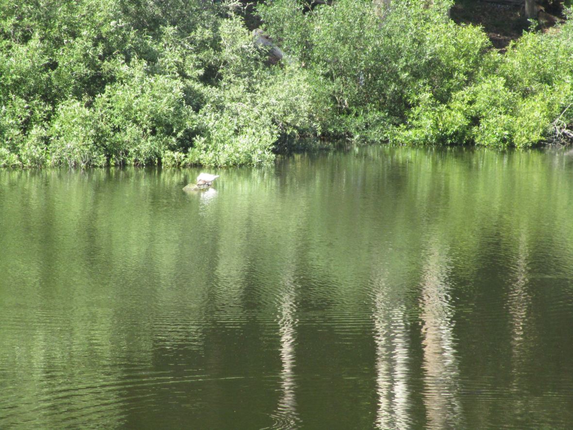 34411320_10216173581438566_469536467727679488_o