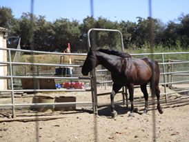 34480469_10216173535757424_8142959561708404736_n