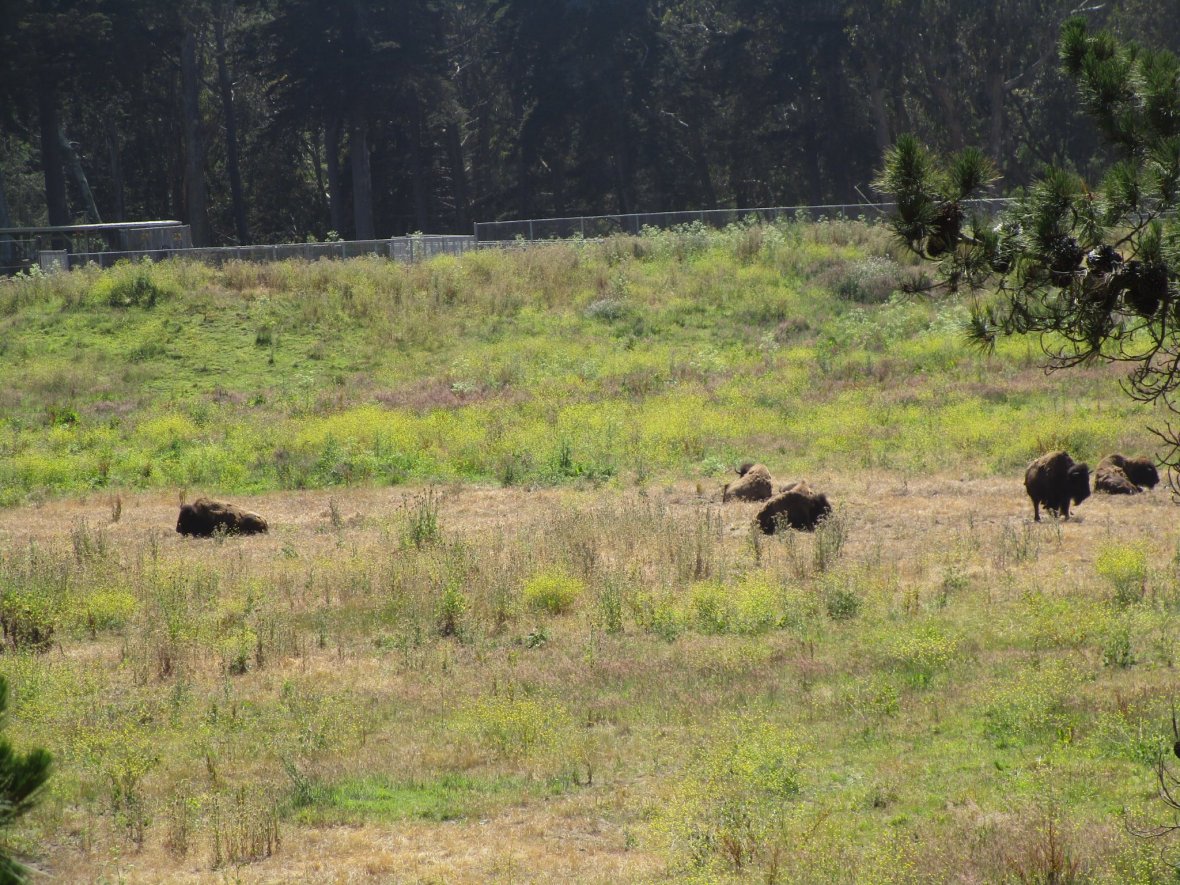 34984550_10216229924767114_8558749070686945280_o