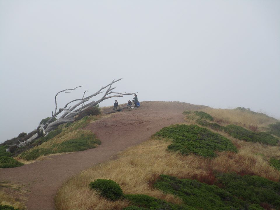 35098076_10216229878645961_8135242128247750656_n