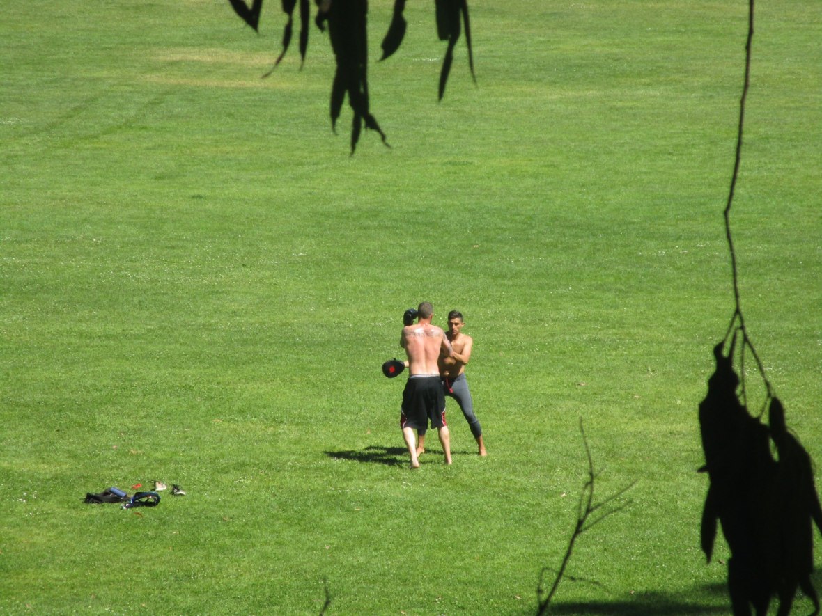 35384484_10216267438184926_4296547453122904064_o