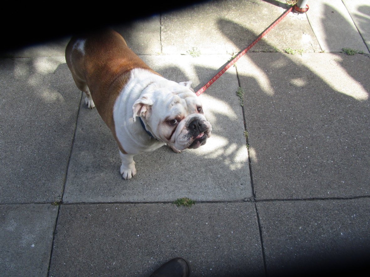 36045413_10216322463000512_3859146553474154496_o