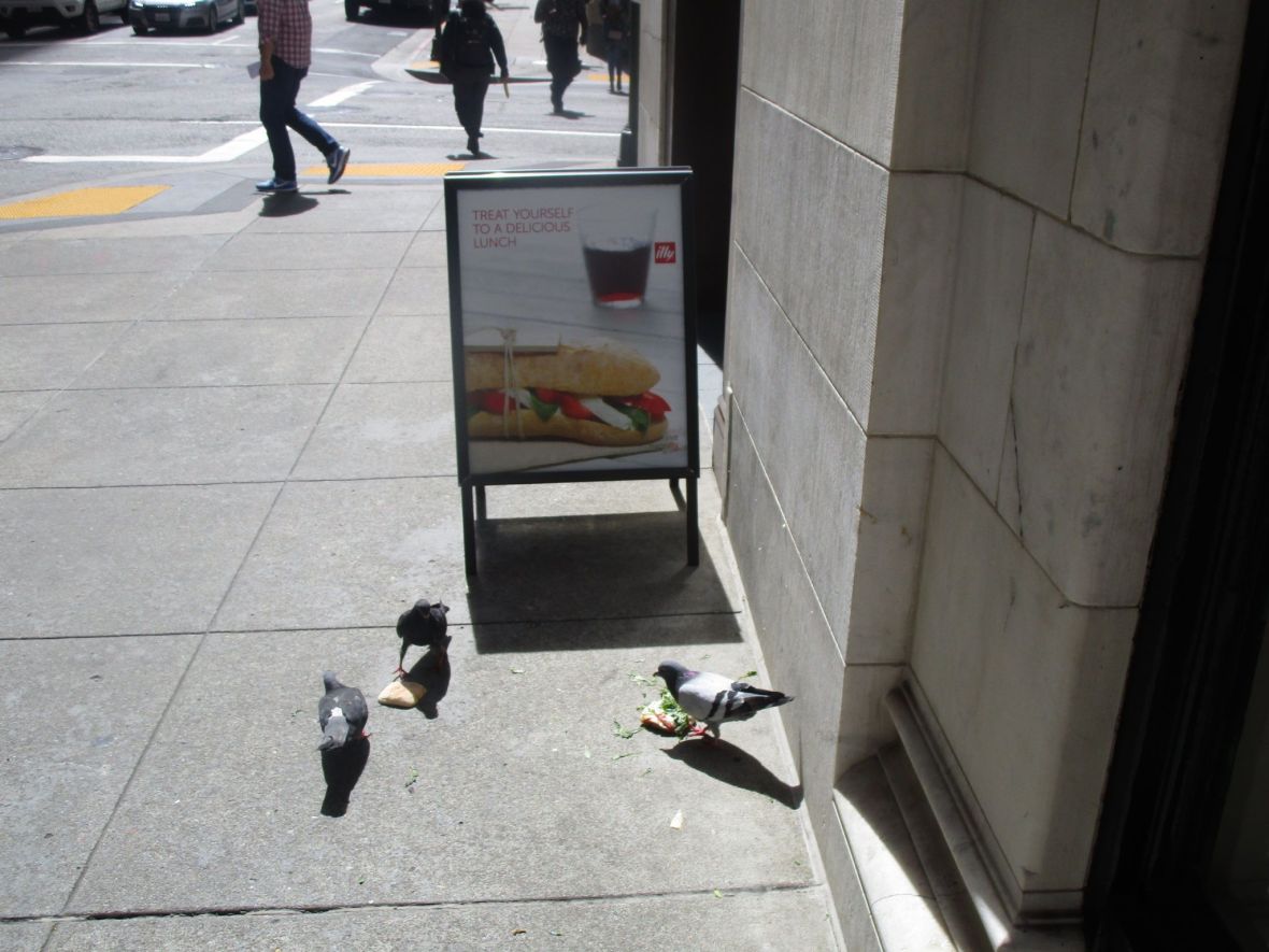 36942325_10216480079860835_8153571876141006848_o