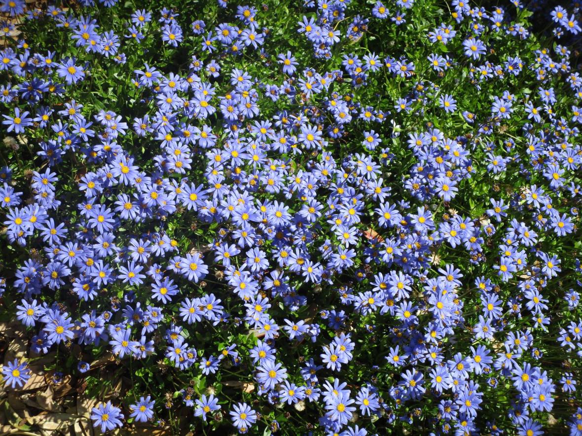 36980730_10216480077460775_4569026629422022656_o