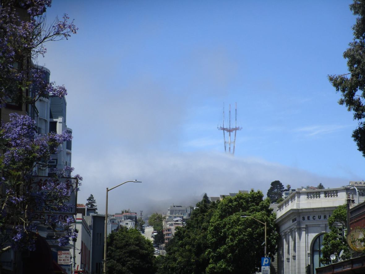 37308814_10216533639759799_2705766350655062016_o