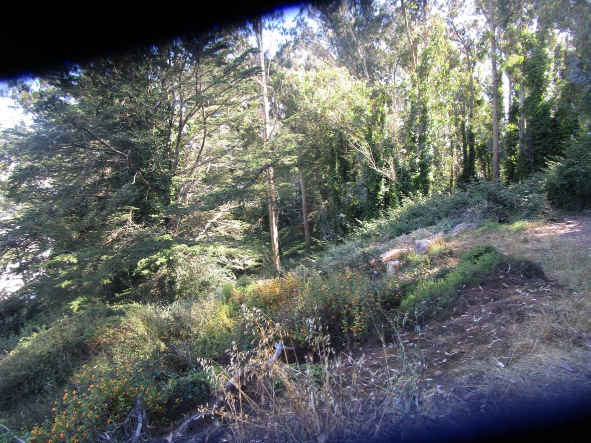 37323276_10216533712641621_8534060370308890624_o