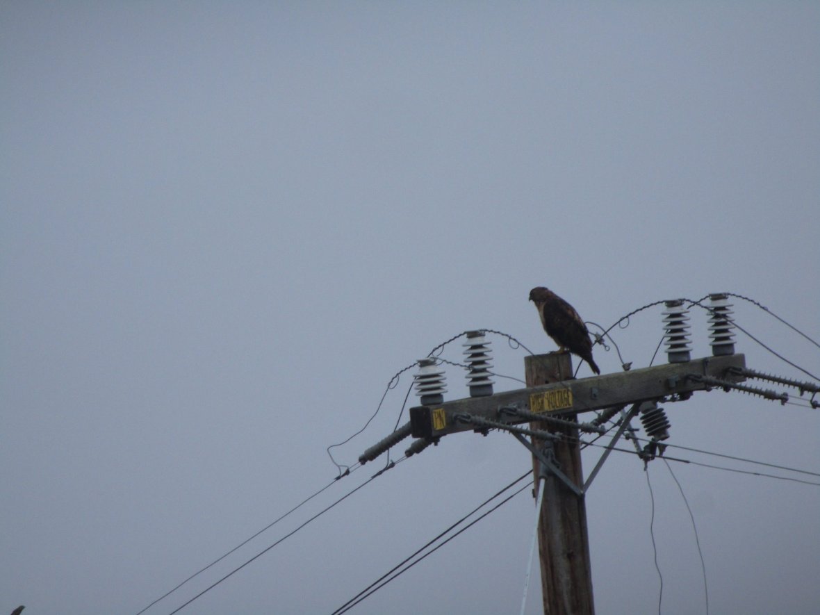 37351789_10216533695881202_5961028738396192768_o