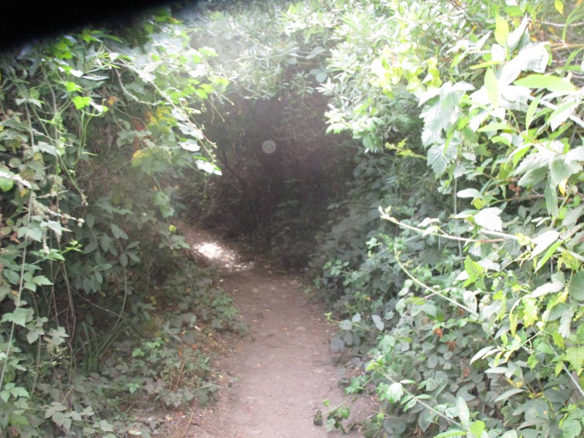 37386130_10216533685760949_263239743867715584_o