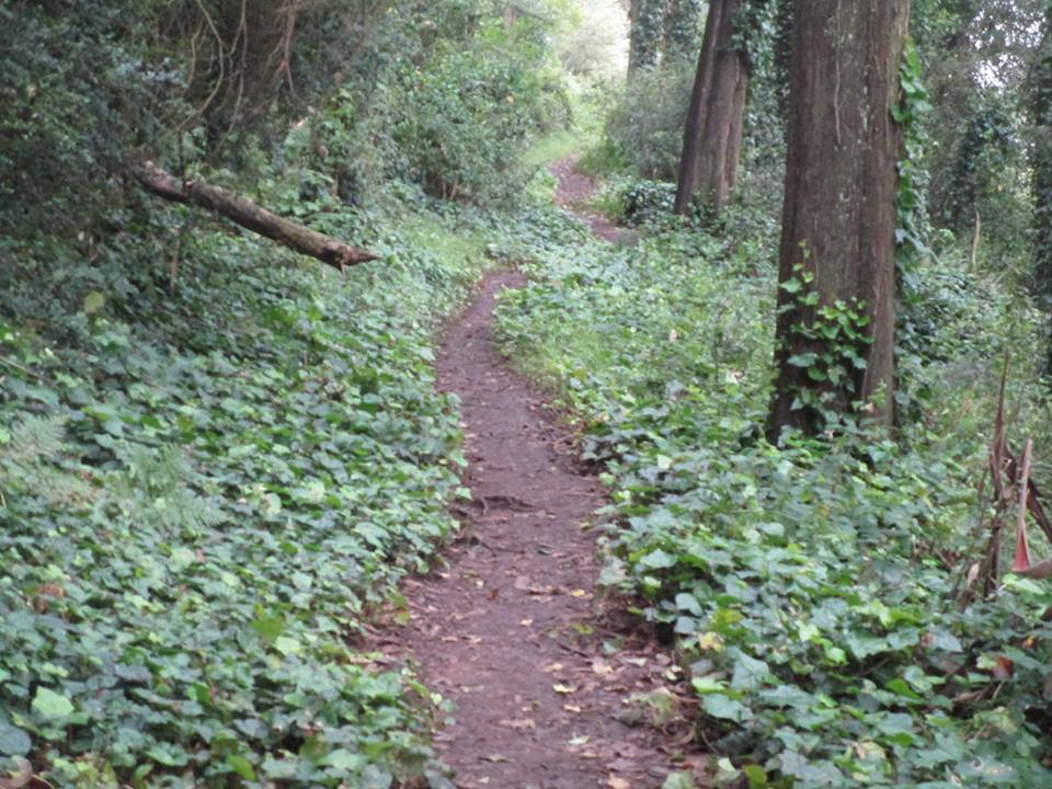 37409349_10216533705801450_5027039790088847360_n