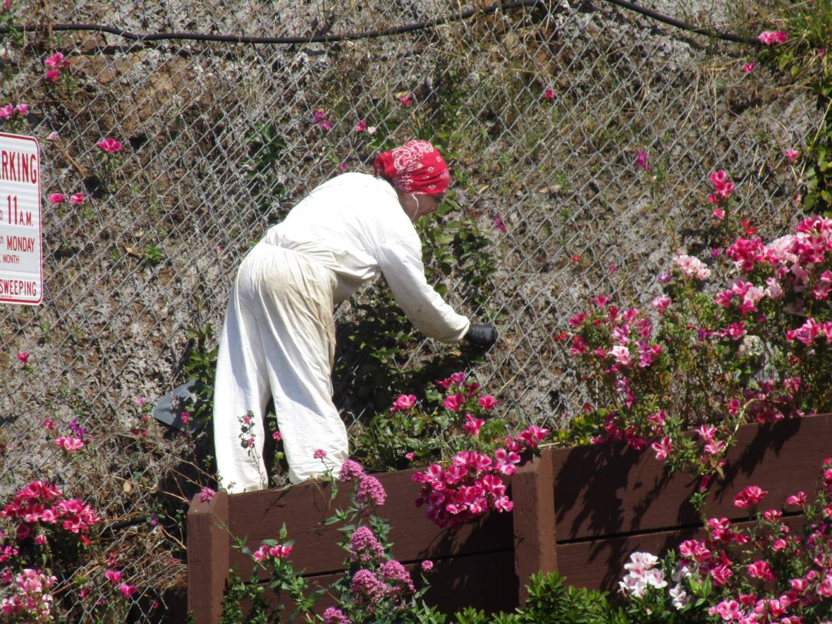 37521566_10216533721081832_4538791558601768960_o