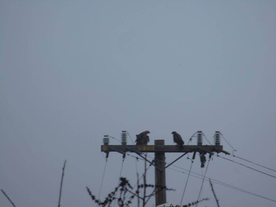 37815090_10216598099971264_6109233675935678464_n