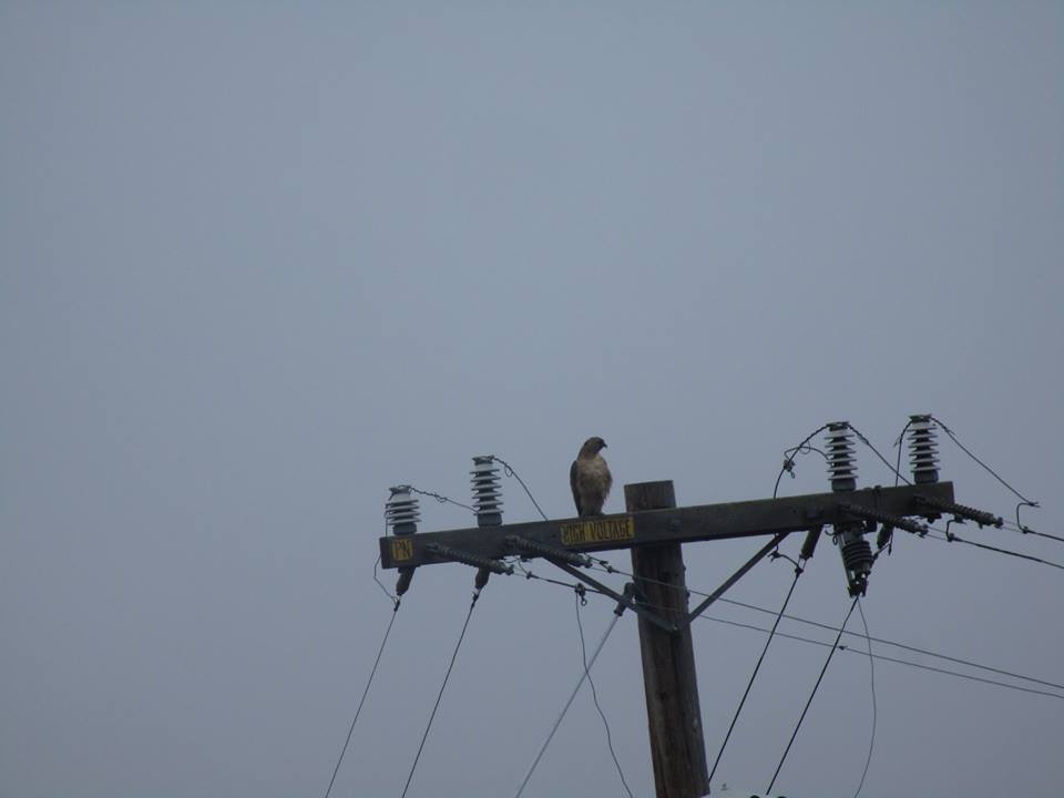 37817003_10216598103811360_1435797254836322304_n