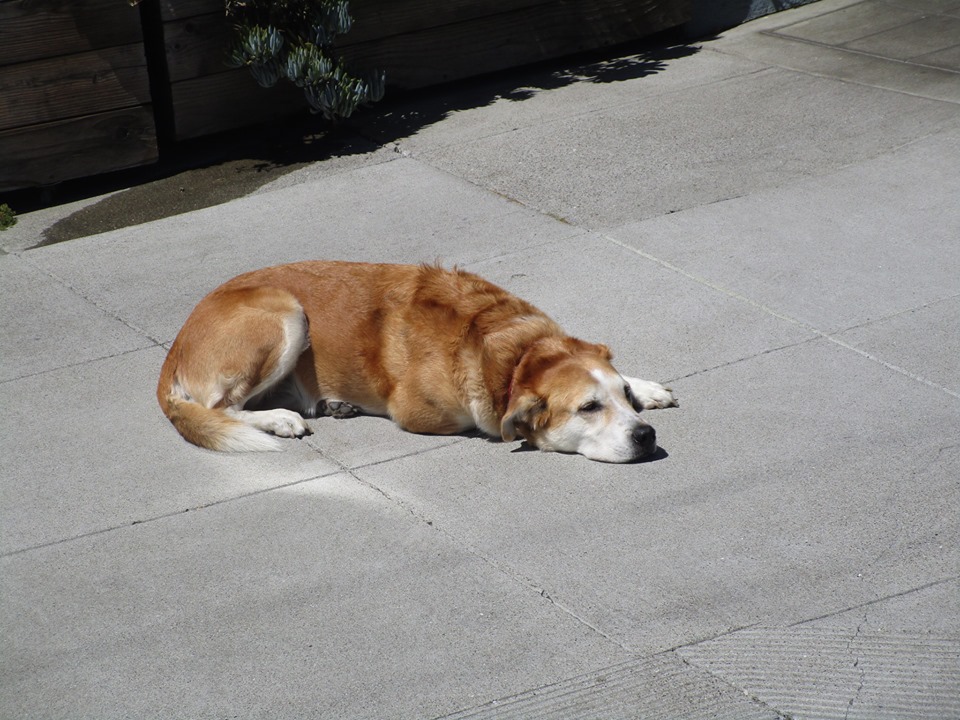 37844264_10216598084130868_7051765859655614464_n