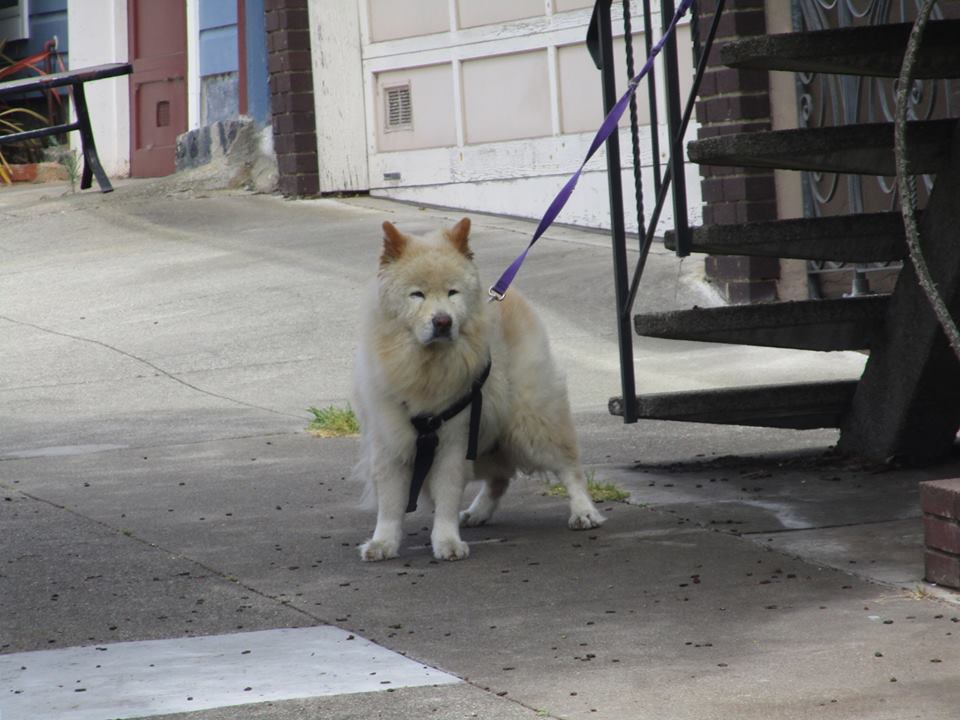 37884681_10216598076450676_6002775648714620928_n