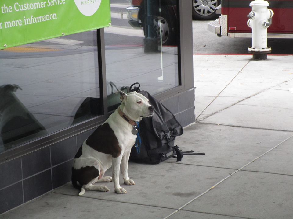 37900882_10216598074810635_2798367323025571840_n