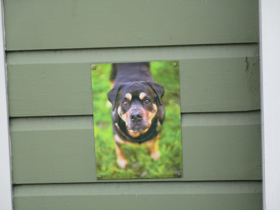 37930924_10216598075650656_7234465775493316608_n