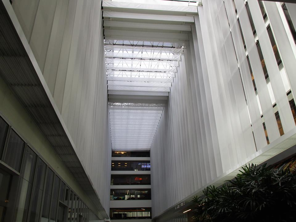 38041962_10216640555512626_8250487499642634240_n