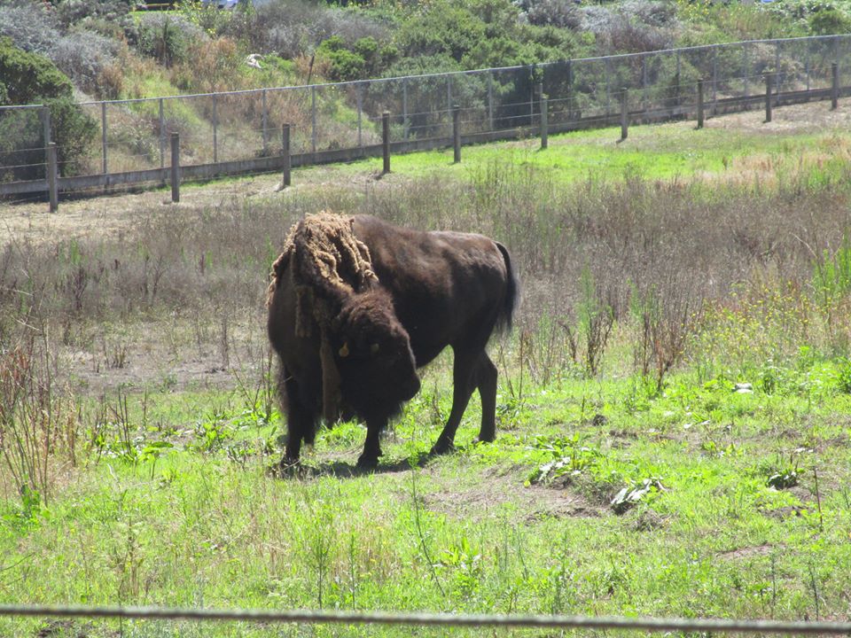 38053480_10216672002298776_4051758235923775488_n