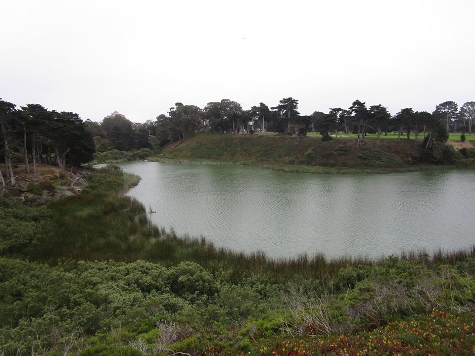 38085352_10216640553072565_5908982140019671040_n