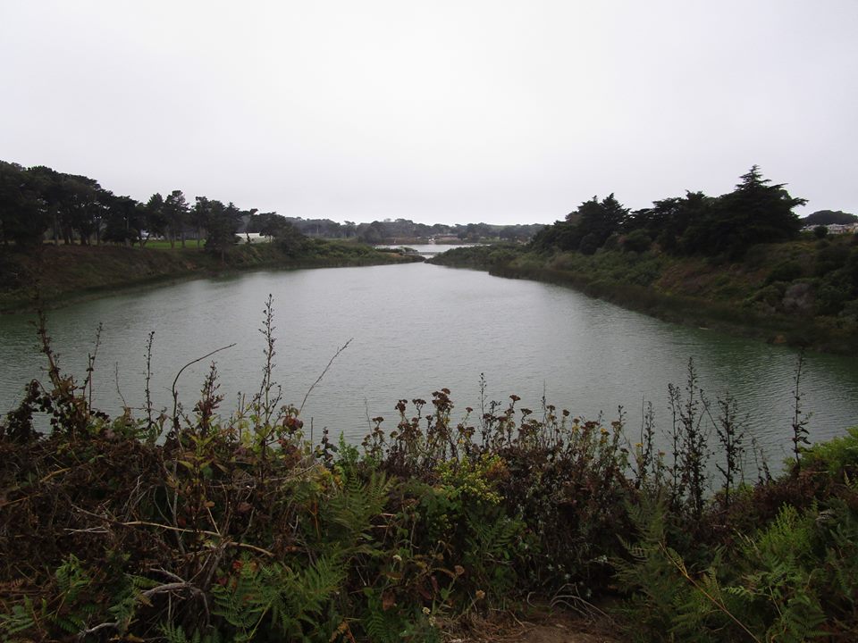 38121301_10216640552072540_471989190406438912_n